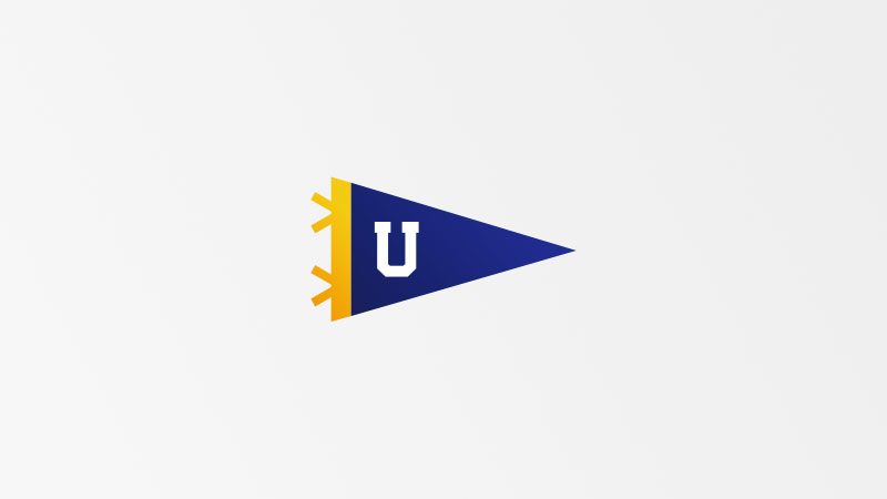 Illustration of a university flag. Illustration of a university flag.