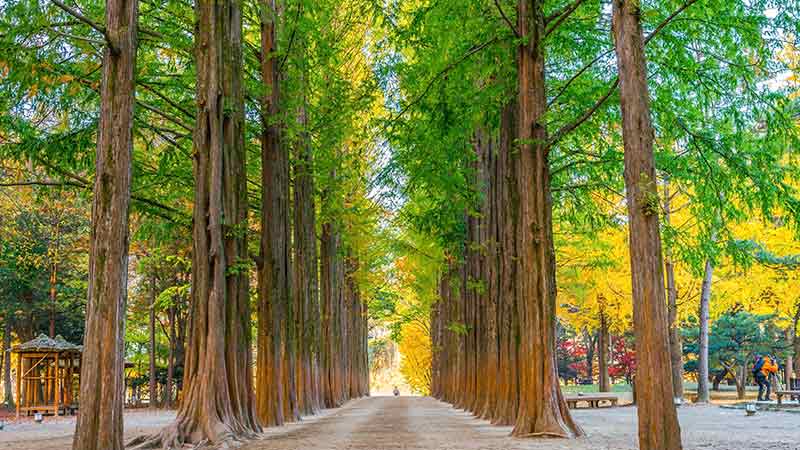 Nami Island